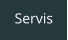 Servis